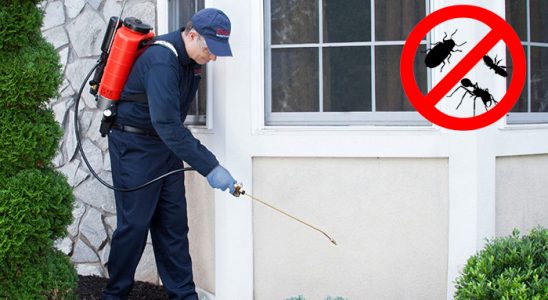 Karahallı Fare İlaçlama böcek ilaçlama ve haşere kontrolü — ilaclama-tr.com